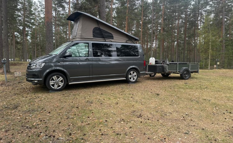 Hendrik – 4p Volkswagen Camper Bus uit 2017