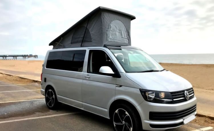 Camping-car Volkswagen T6 4 couchages