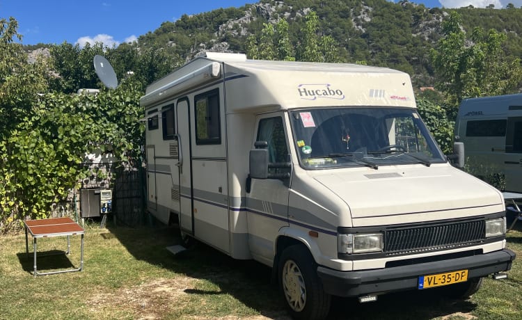 Walter  – Voyagez confortablement dans ce camping-car spacieux et confortable !