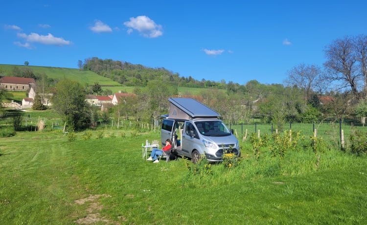 Westfalia Ford Nugget compacte et moderne