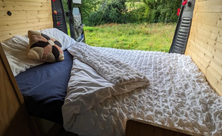 Campervan - 2, 3 of 4 slaapplaatsen. Kan off-grid zijn