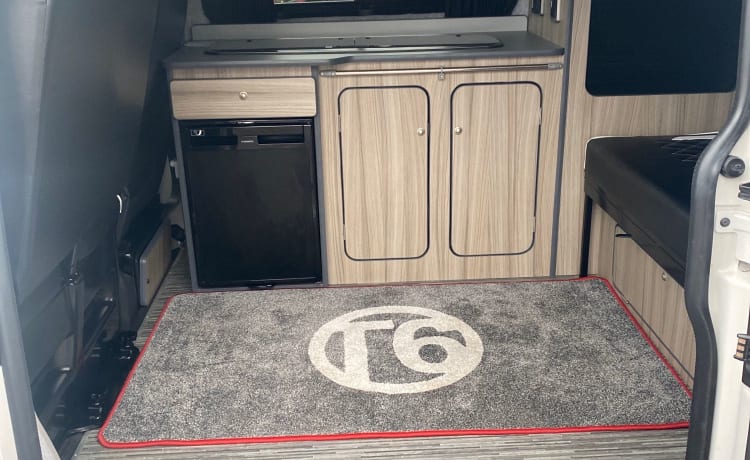 WILFY – 4 berth Volkswagen bus from 2016