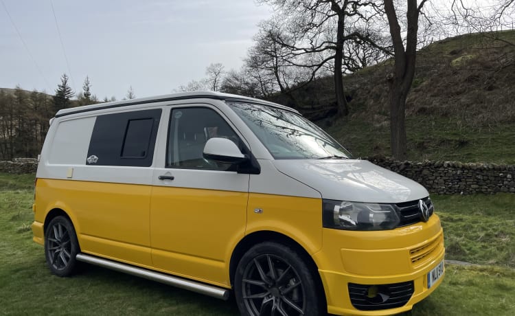 Daisy – Marguerite - VW T5 Campervan