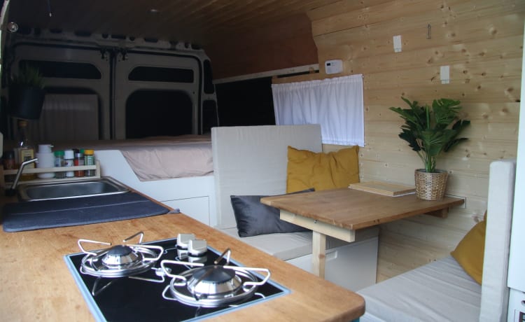 Boomer – 2-Persoons Fiat campervan uit 2013