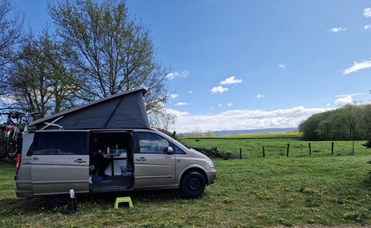 De Grutto – Camping de luxe avec notre Marcopolo Camperbus