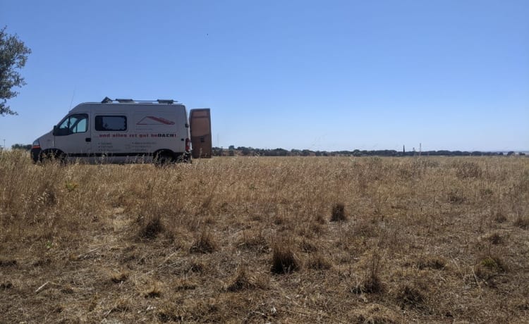 Lakshmi – Renault Master dakdekker undercover droom