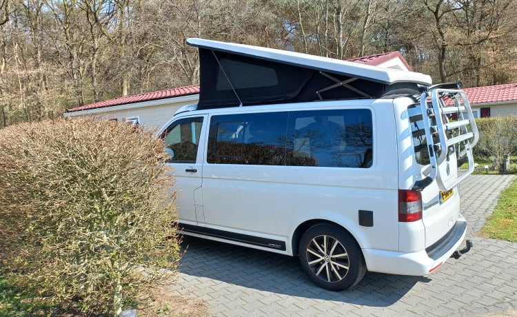 "Vrouwtje"  – „Frau“ – 3er Volkswagen T5 Bus (2014) (kein Fahrradträger)