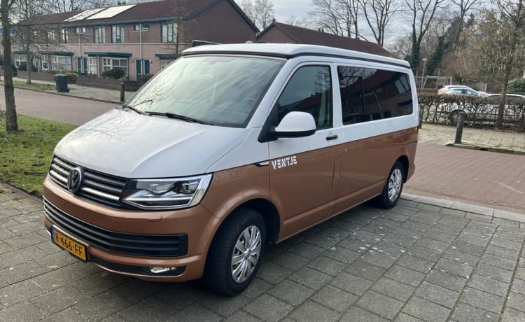 Ventje_Pezarro – Camper Ventje – Luxus-VW T6 Automatik für 4 Personen