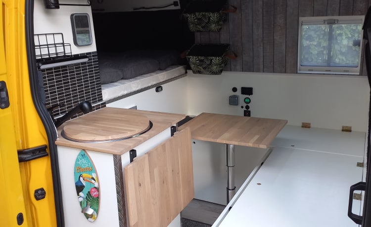 DigiDuck – 3p Renault self-build, full option digital camping