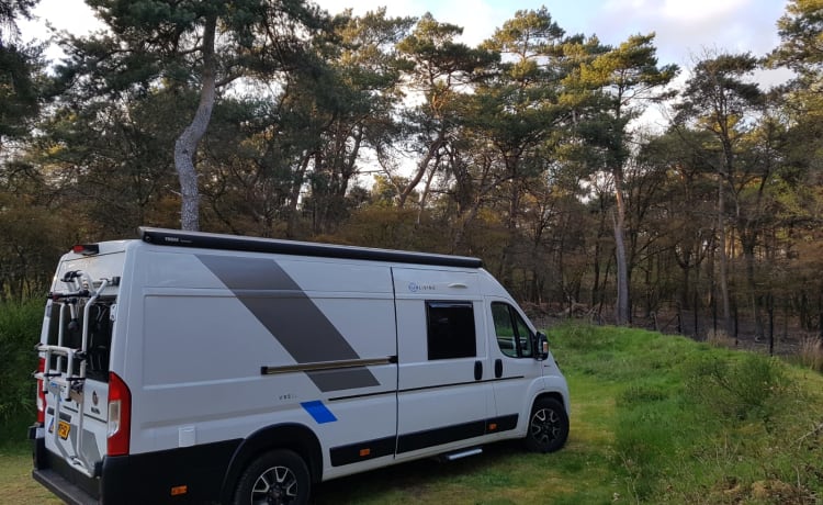 Sunliving Bus Camper mit Busbiker