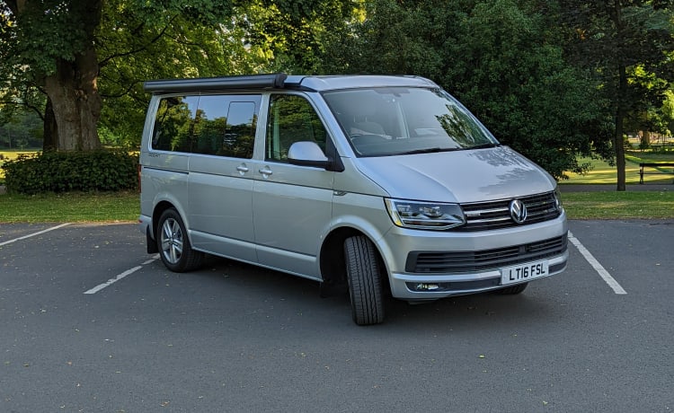 Rocky California  – Volkswagen California Ocean Bus mit 4 Schlafplätzen aus dem Jahr 2016