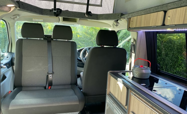 Daisy – Volkswagen campervan met 4 slaapplaatsen uit 2017