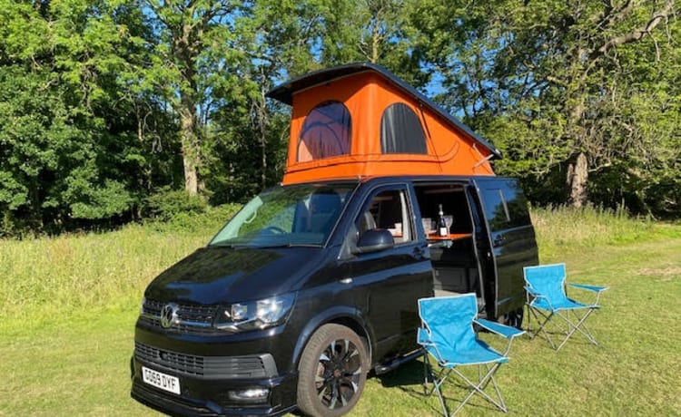 Trevor – VW Campervan