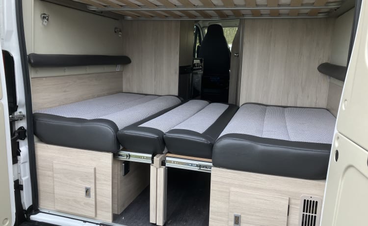 Tribute – 4 berth Autotrail Tribute 669 from 2020