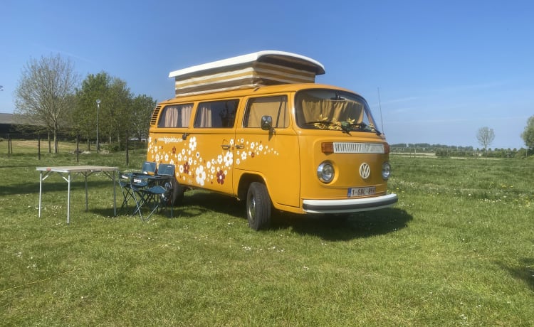 DEVON – huur een originele hippiebus uit 1976!