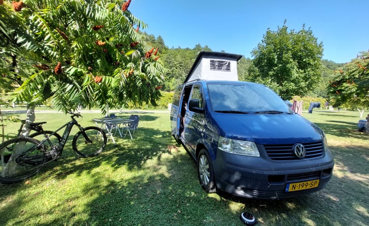 Transporteur Volkswagen T5