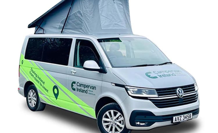 4-persoons Volkswagen campervan uit 2024