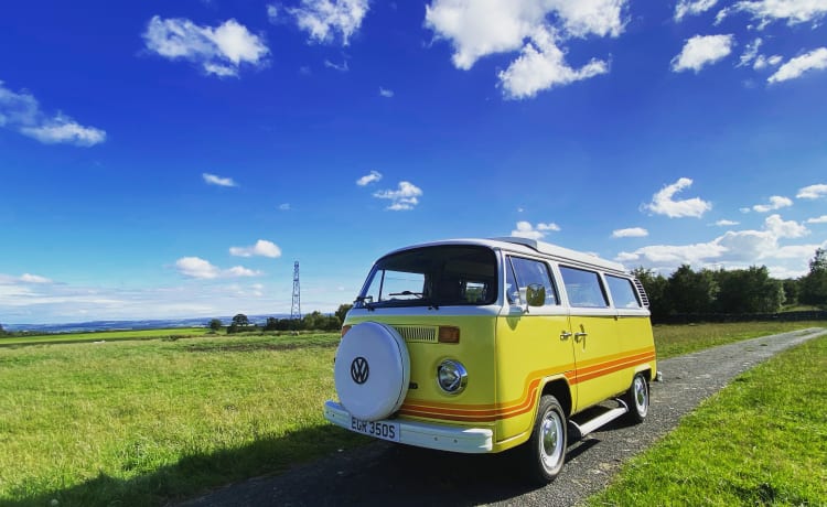 Oswald – Classic Campervan Hire Northumberland