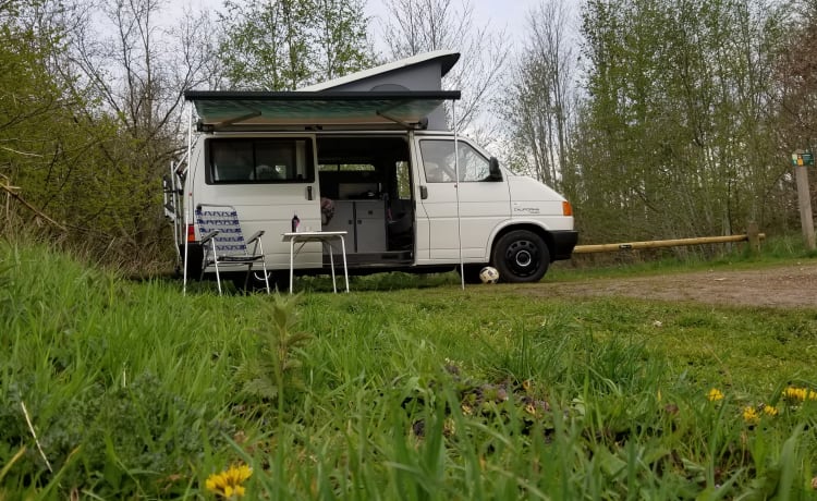 white house! Go on an unforgettable road trip with this T4 Westfalia!