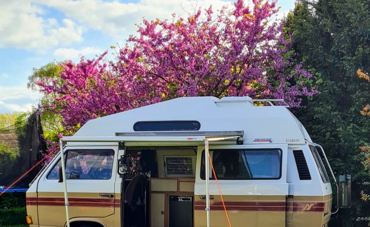 Boris – Boris liebt das Abenteuer – VW T25 1.9 Autoleeper Trident