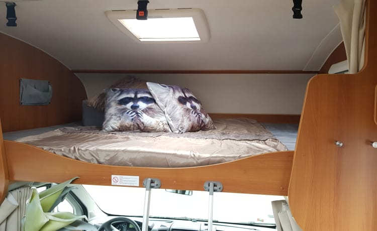 Luxury 6-person camper for rent {OFFER}