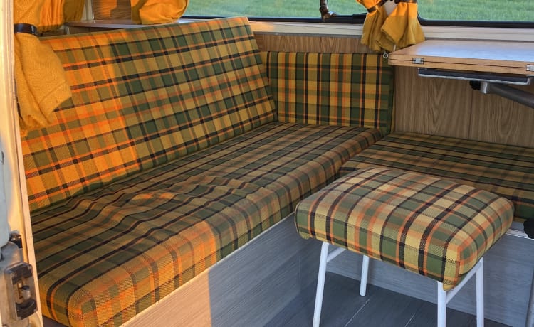 T2B Westy – affittare un camper hippy bus westfalia originale !!