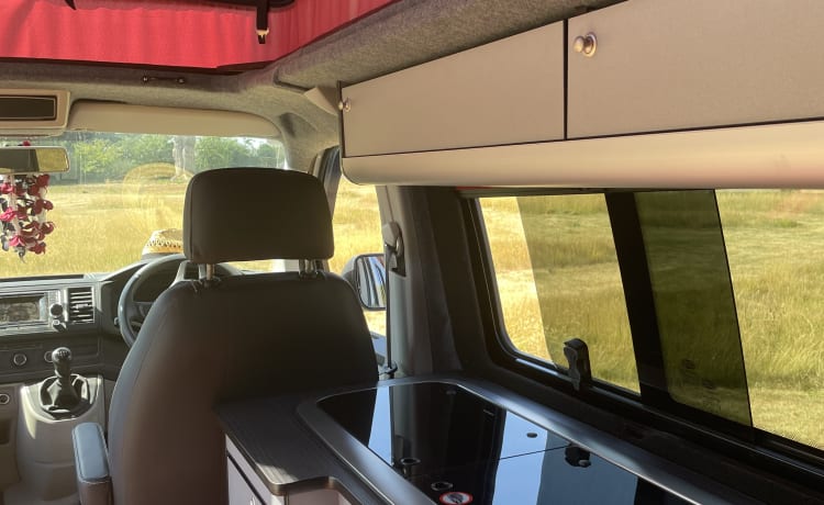 4-persoons Volkswagen camper T6 LWB 2018 nieuwe conventie