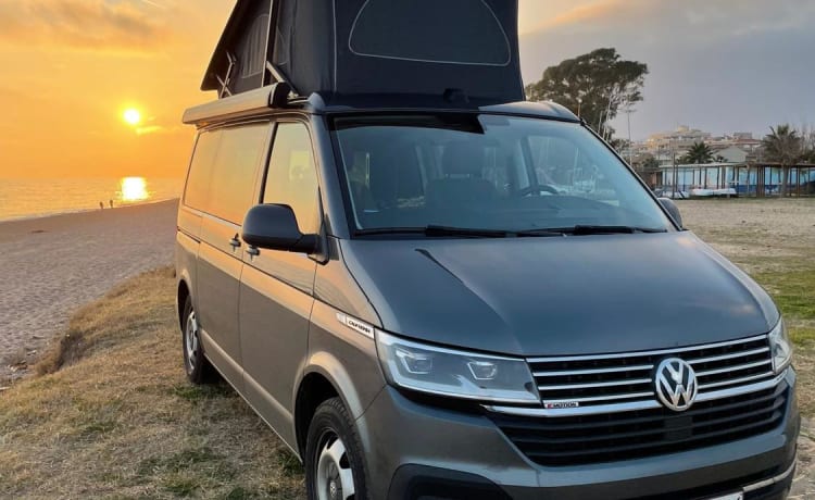 Denny California – Volkswagen California 6.1 ocean 4 motion