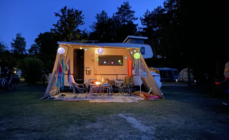 Wilma – Beautifully pimped Fiat Burstner Alcove Camper, 5 pers.