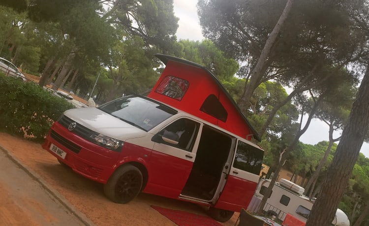 The Love Bug – Elegante camper Volkswagen