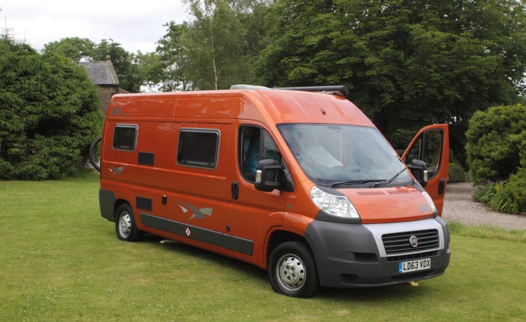 Betsy – Wildax Constellation 2/3 berth