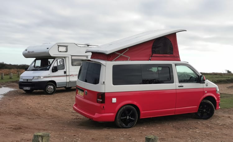 VICTOR – 4 geboorte Volkswagen campervan