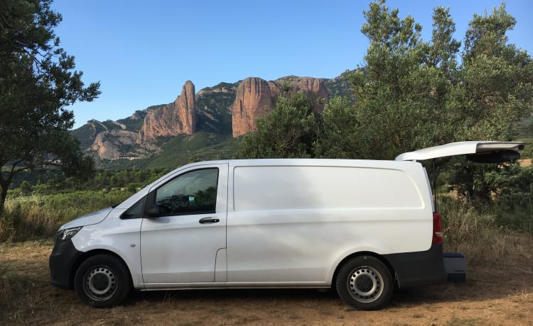 Isolde – Compact and practical van