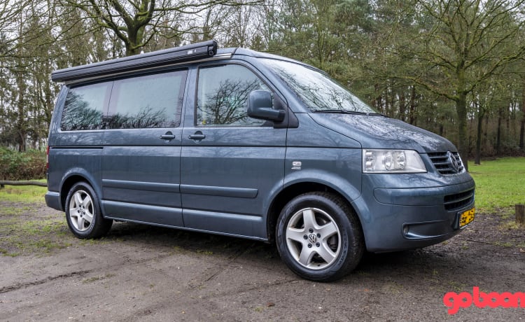 Stein – Volkswagen T5 California 4motion