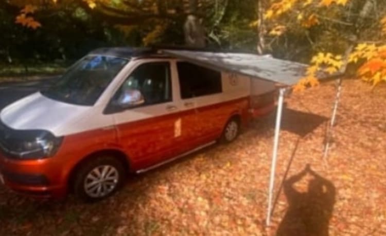 Velma – 4 berth 2016 Volkswagen campervan