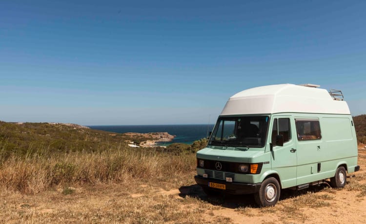 Ms. Paddy – Vintage Mercedes Westfalia campervan 🚌 🏄‍♂️ ⛱  incl. complete uitrusting