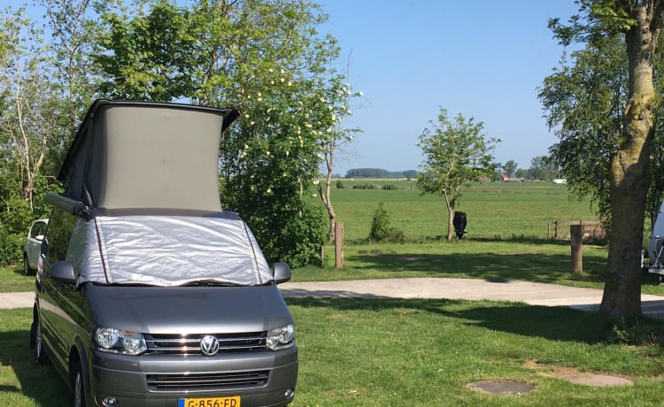 Calibus – 4p Volkswagen California Buscamper uit 2012