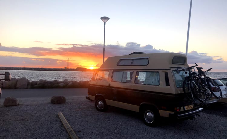 Charlie – VW T3 Adventurewagon Automatique - Importé de Californie