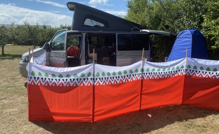 Stan – 4 berth Volkswagen campervan from 2014