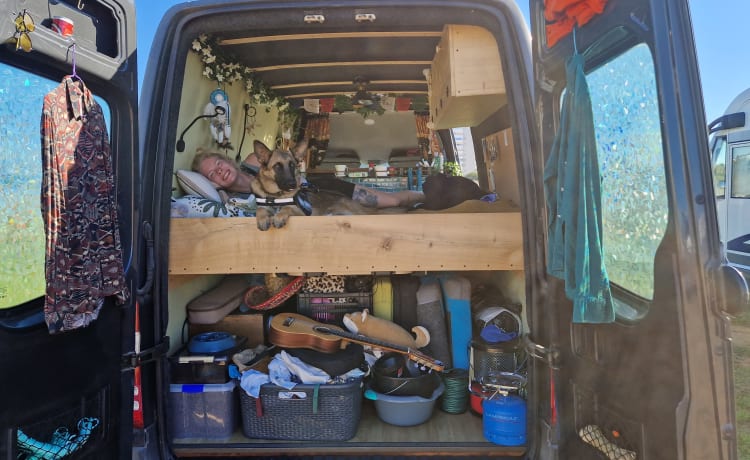 Henry – 2p off-grid Mercedes Sprinter camperbus 2007 