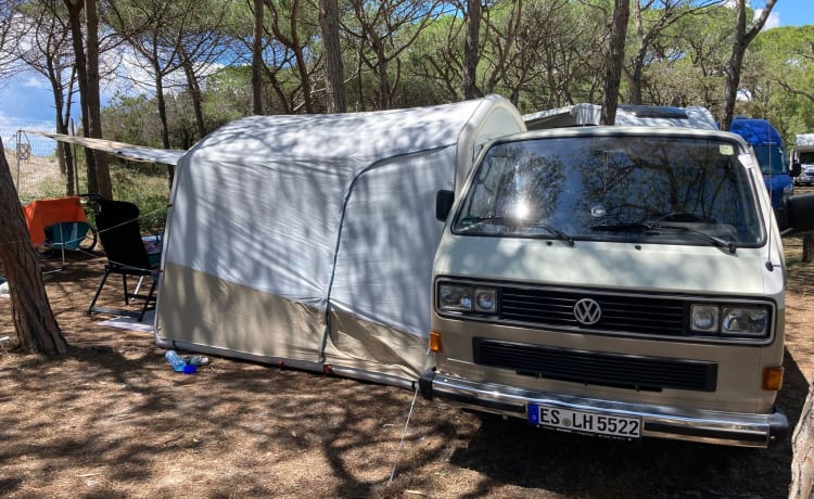 Lille – T3 Bully with power steering 85,000km beautiful extension with awning all inclusive.