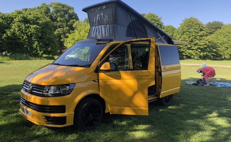 Herbert – 5 berth Volkswagen campervan from 2017