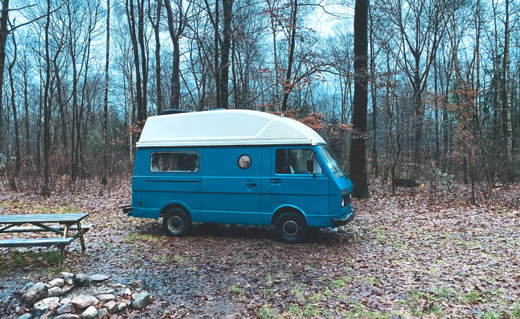 Blue Rose 🚎 – Volkswagen LT28, buscamper