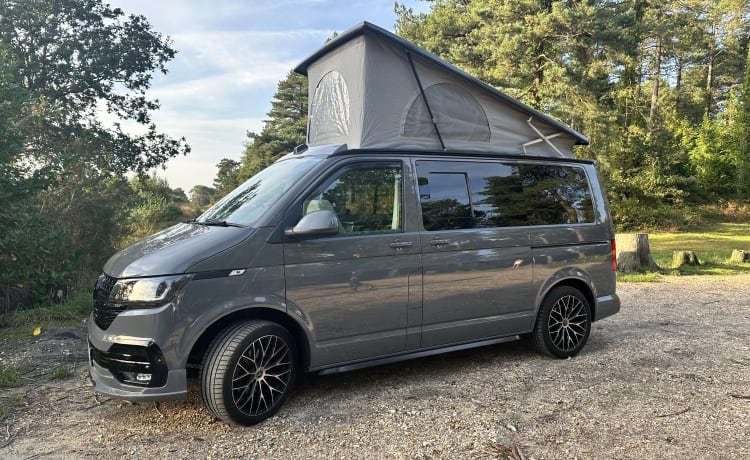 "The Grey Wanderer" – 4-persoons Volkswagen campervan uit 2021