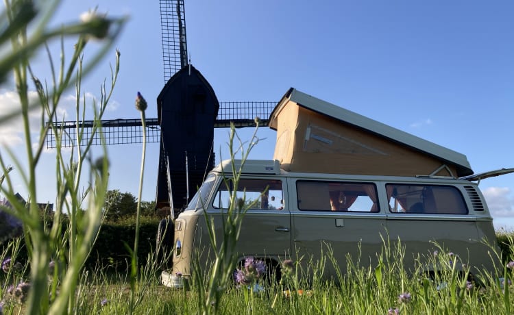 HIPPIECAMP – Retro Volkswagen Camper mit 4 Schlafplätzen