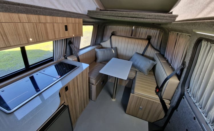 Coco the camper van  – Volkswagen Wohnmobil mit 3 Schlafplätzen, Baujahr 2021