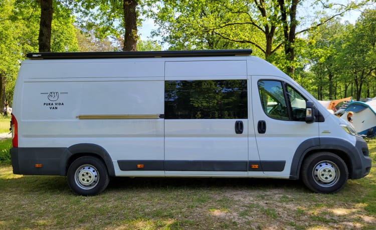 Pura Vida Van – Camper bus 3 posti costruito nel 2023