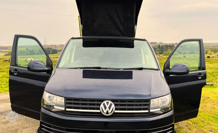 Halle – 4 berth Volkswagen campervan 