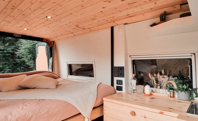 Highlander – Autobus camper veloce, fresco e accogliente!