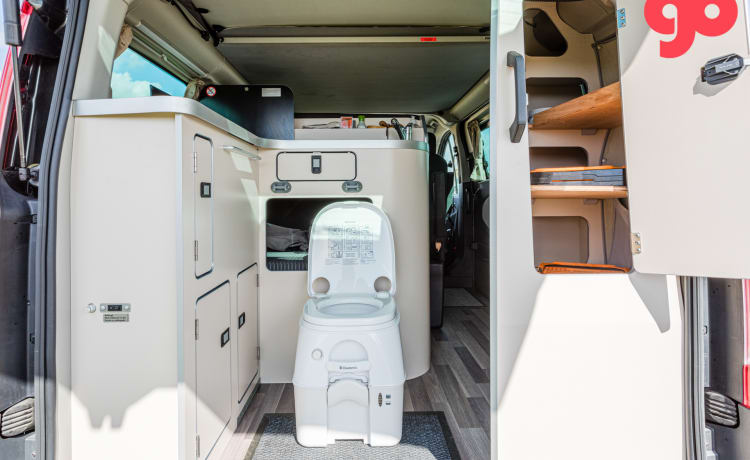 Henry's Ford – bel camper bus Ford Nugget (4-5 pers), possibilmente. con tenda per autobus e portabiciclette!